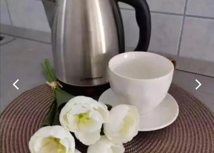 Miranda シオーフォク